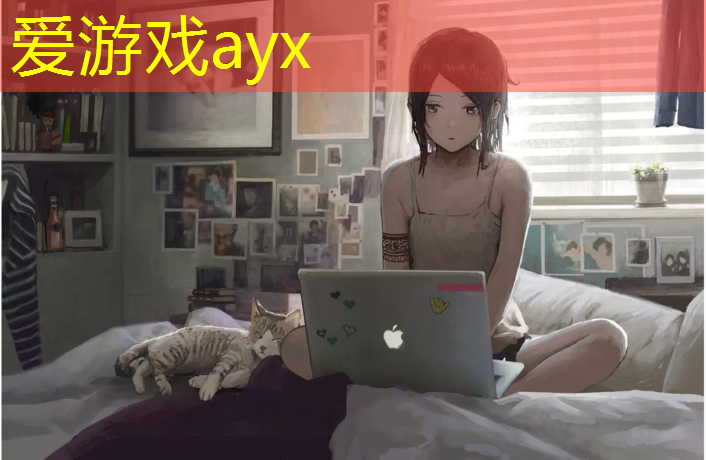 跆拳道反应护具训练